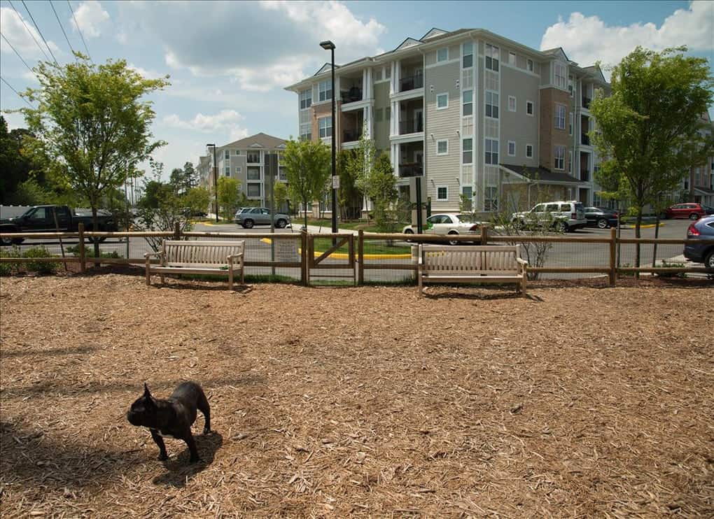 Pet Ground with sitting area