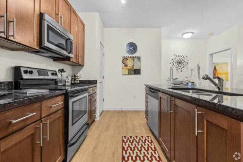 Kitchen with Cupboard and Wash Basin