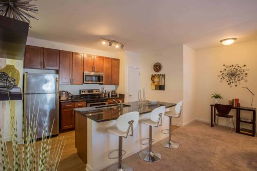 Kitchen with Luxury Amenities